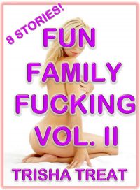 Book Cover: Fun Family Fucking Vol. II - 8 Stories
