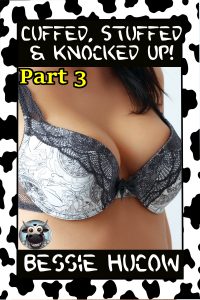 Book Cover: Cuffed, Stuffed & Knocked Up (Part 3)