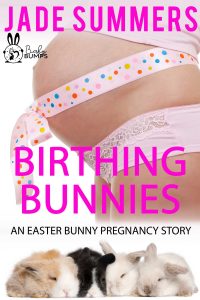 Book Cover: Birthing Bunnies: An Easter Bunny Pregnancy Story