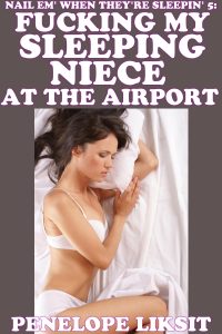 Book Cover: Fucking My Sleeping Niece At The Airport: Nail Em' When They're Sleepin' 5