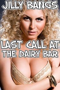Book Cover: Last call at The Dairy Bar