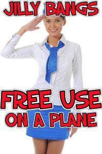Book Cover: Free use on a plane