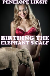 Book Cover: Birthing The Elephant's Calf