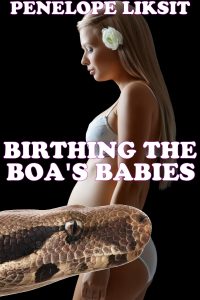 Book Cover: Birthing The Boa's Babies