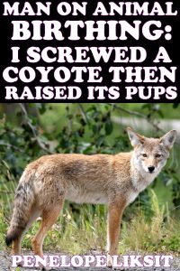 Book Cover: Man On Animal Birthing: I Screwed A Coyote Then Raised Its Pups