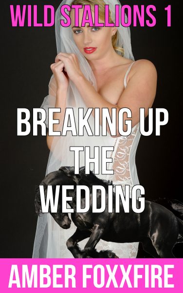 Book Cover: Wild Stallions 1: Breaking Up The Wedding